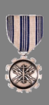 Star Alliance Achievement Medal